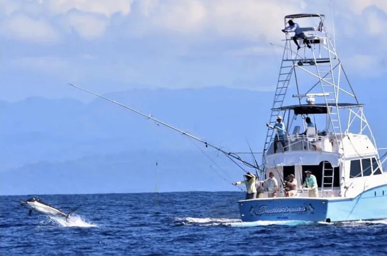 Costa Rica Sportfishing Charters